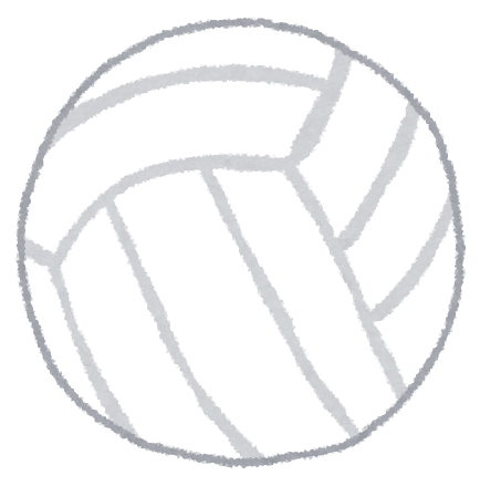 Sport volleyball